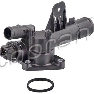 Termostato 700572001, 8200558766