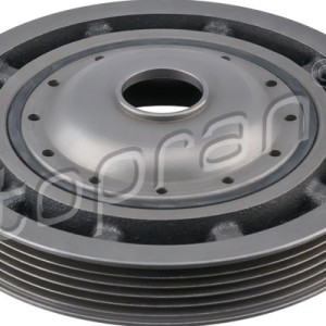 Polea 700863001, 8200392697