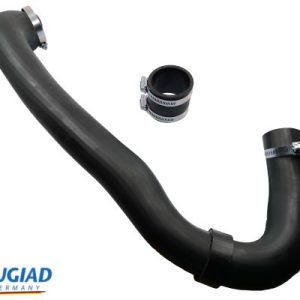 Manguera de admisión del cargador 1715459