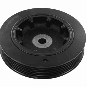 Polea de la bomba de agua 1230300Q1N