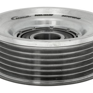 Z60115940, Polea inversión/guía, correa poli V