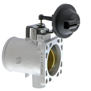 351002A105, Cuerpo de mariposa