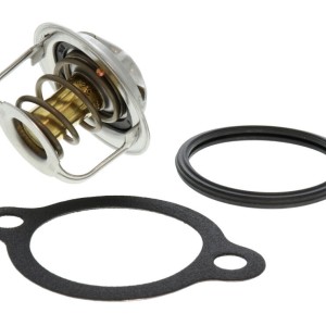 17600-60814-000, Termostato, refrigerante