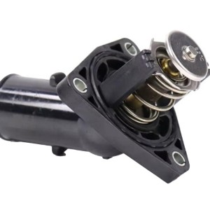 16031-31020, Termostato, refrigerante