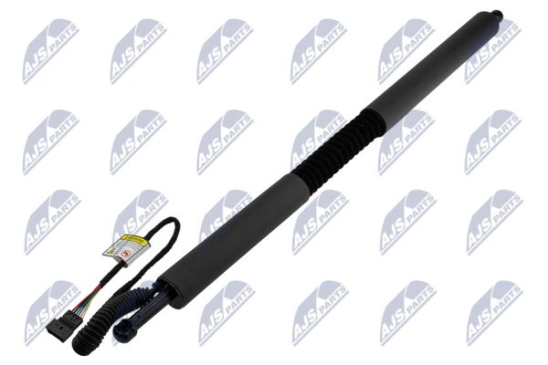 AMORTIGUADOR PUERTA TRASERA, AE-BM-109 /51247298983