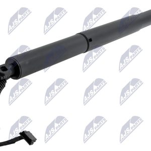 AMORTIGUADOR PUERTA TRASERA, AE-BM-120 /51247348523