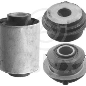 jgo rep – 2023300075