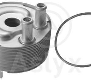 intercambiador Nissan – 213055M301