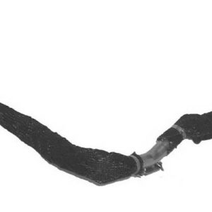 tubo recirculacion – 1430287