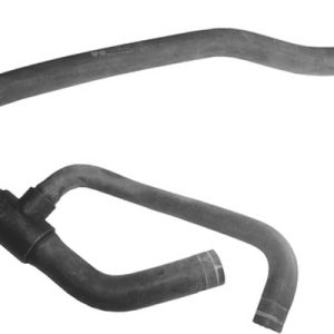 mgto inf – 1343KP
