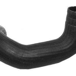 mgto de – 1366926080