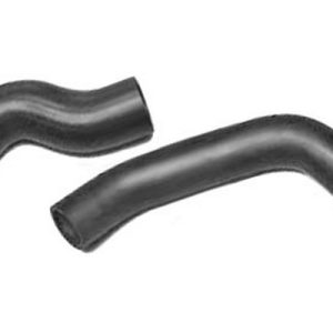 jgo mgtos – 51810956
