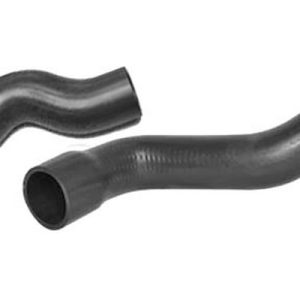 jgo mgtos – 51832981