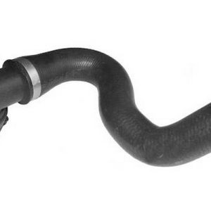 mgto inf – 13191206