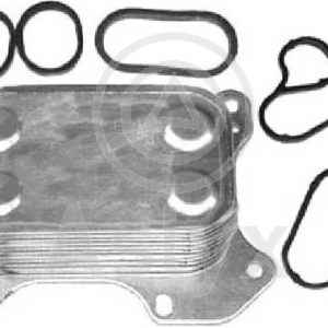 intercambiador Fiat/Opel – 55183548