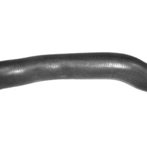 tubo de – 51793494