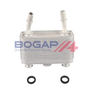 Manguera 17207500754