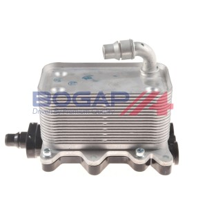 Manguera 17217803830