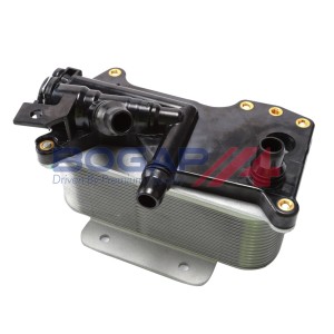 Manguera 17217638582