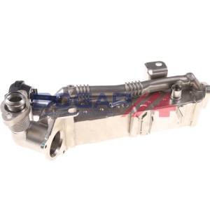 Manguera 11717823210