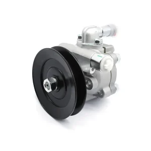 49110-VB300, Bomba de Dirección