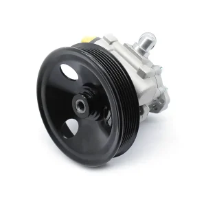 49110-9X400, Bomba de Dirección