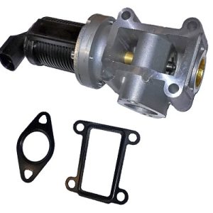 Válvula EGR 55215031