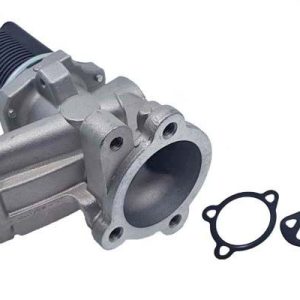 Válvula EGR 55201144