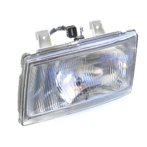 MK486506, Faro derecho