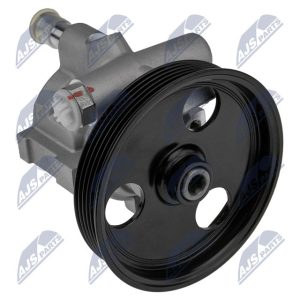 BOMBA HIDRÁULICA DE DIRECCIÓN, SPW-RE-001 /491102028R