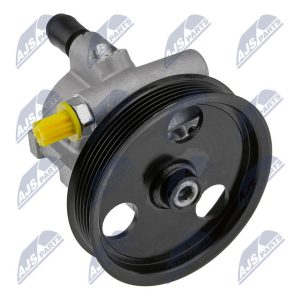 BOMBA HIDRÁULICA DE DIRECCIÓN, SPW-RE-006 /491105510R