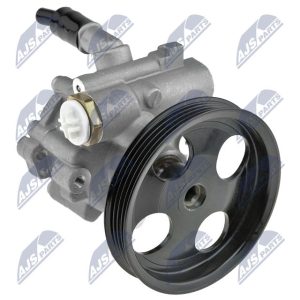 BOMBA HIDRÁULICA DE DIRECCIÓN, SPW-RE-015 /491101451R