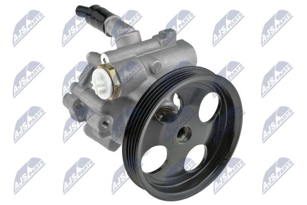 BOMBA HIDRÁULICA DE DIRECCIÓN, SPW-RE-015 /491101451R