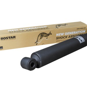 Amortiguadores RENAULT 5010383685