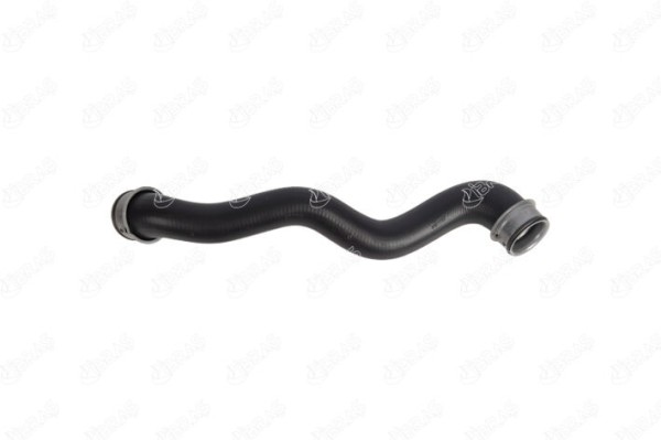 MANGUERA TURBO 2045013982