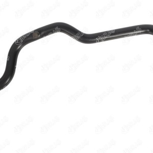 MANGUERA TURBO 6001548459