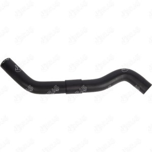 MANGUERA TURBO 254121G000