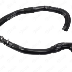 MANGUERA TURBO 215010860R
