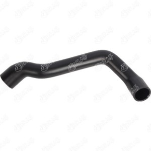MANGUERA TURBO 1645010382