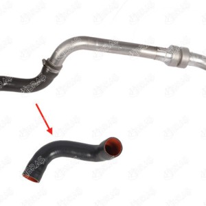 MANGUERA TURBO 8200276297