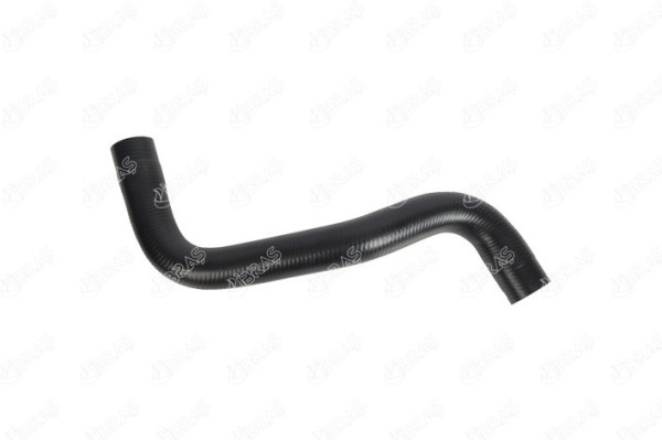 MANGUERA TURBO 8200026104
