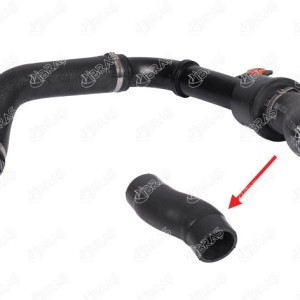 MANGUERA TURBO 50517509