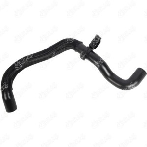 MANGUERA TURBO 6818564