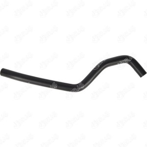MANGUERA TURBO 6001548461
