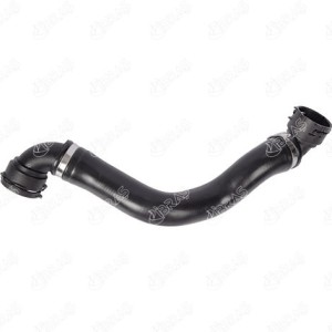 MANGUERA TURBO 2055010082